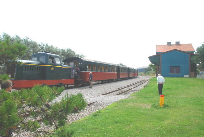 DSC_4100.jpg