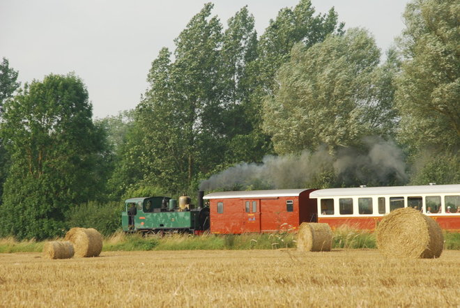 DSC_4218.jpg