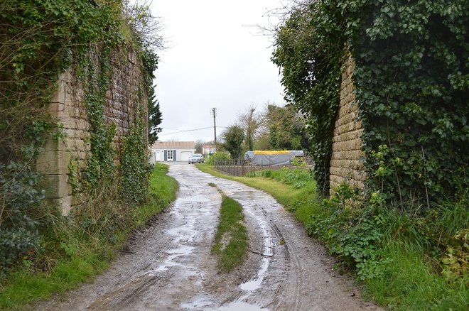 DSC_0535.JPG