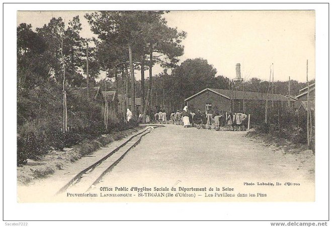 17 - PREVENTORIUM LANNELONGUE ST TROJAN - PAVILLONS DANS LES PINS.jpg