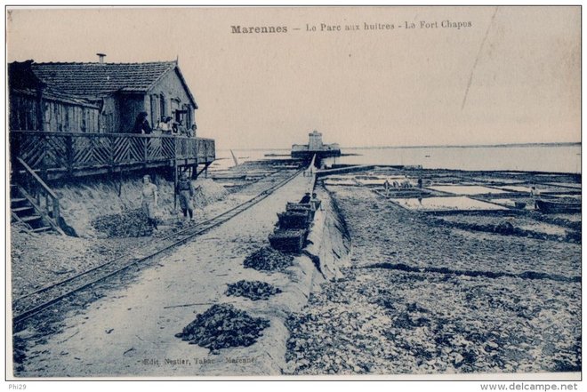 17-  Marennes le parc aux huitres le fort du chapus.jpg