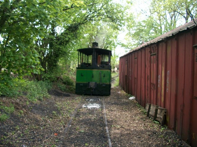 100_0721.JPG