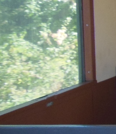 Copie de Train des mouettes 039.jpg