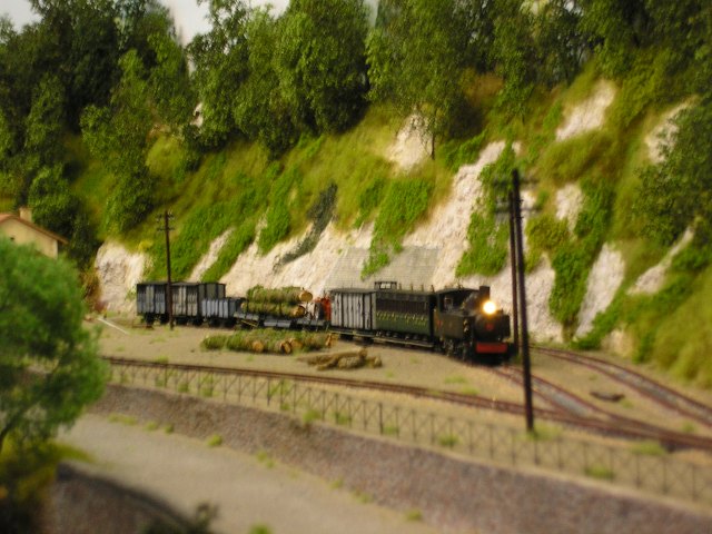 P1011836_r.JPG