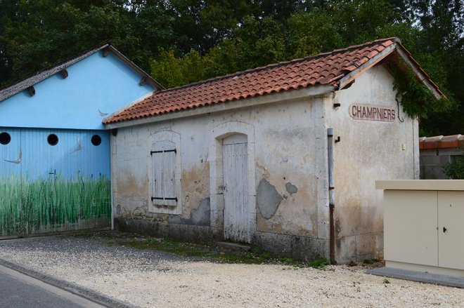 DSC_0484.jpg