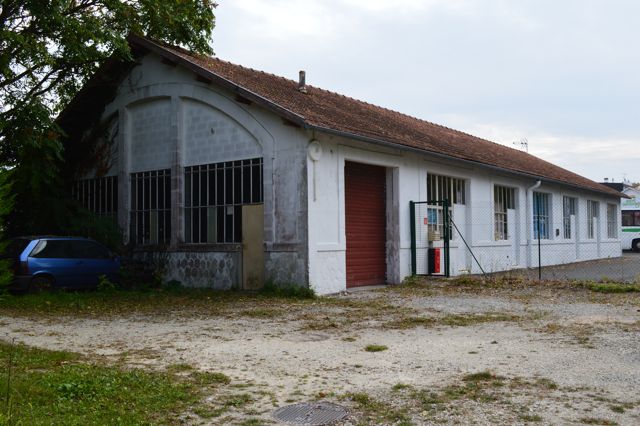 DSC_0496.jpg