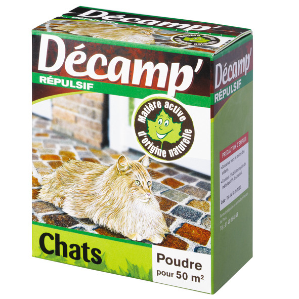 PME Chat Décamp'.jpg