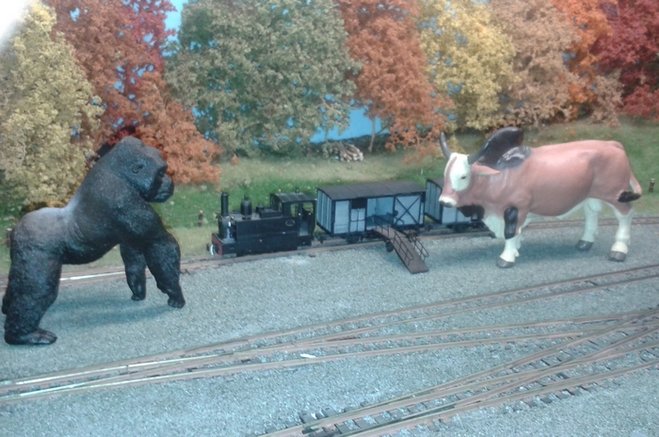 20141012_162540.jpg