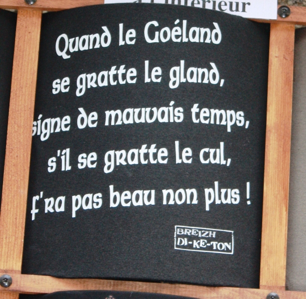 IMG_5891.JPG