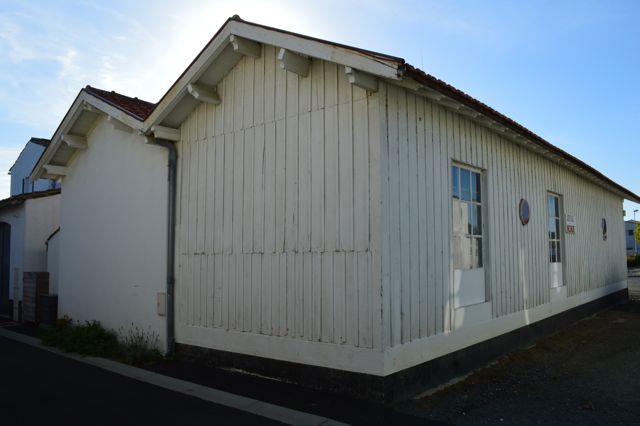 DSC_0565.jpg