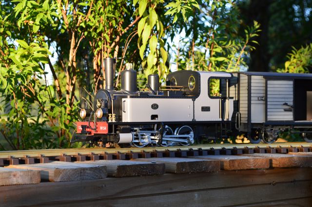 DSC_0492.jpg