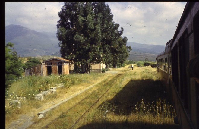 PICT0007.JPG