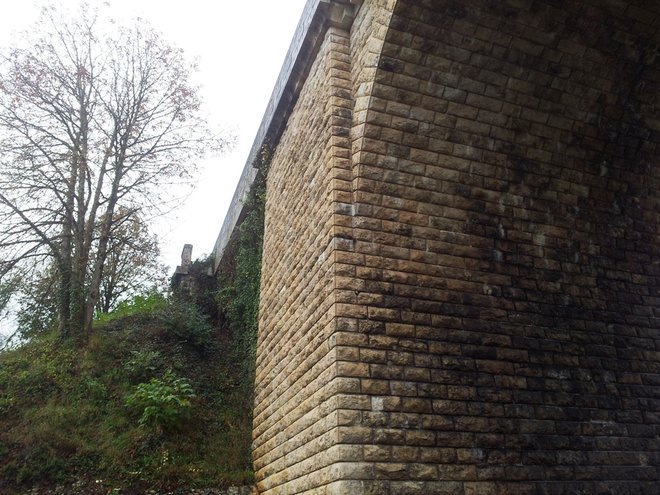 20141103_100502.jpg