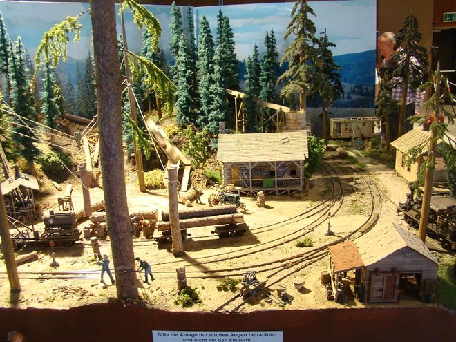 WalfBearLake2forum.jpg