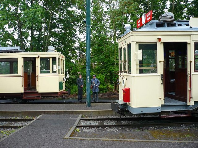 asvi 5.jpg