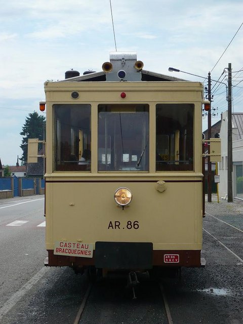 asvi 9.jpg