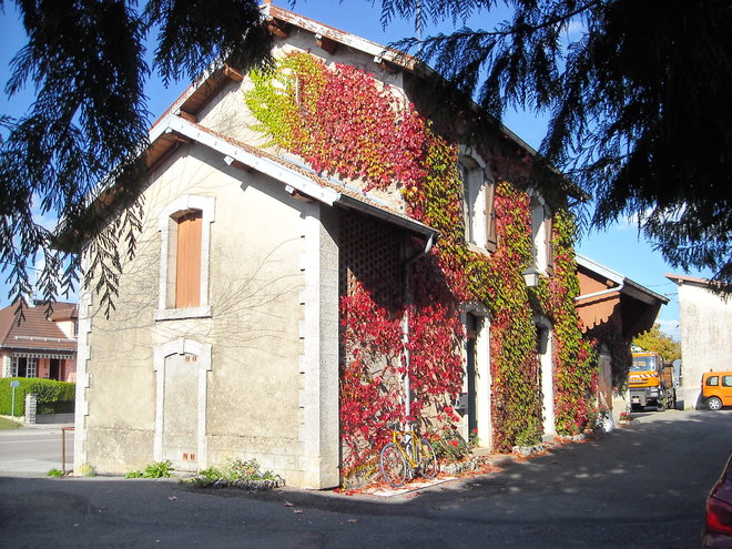 DSCN3125.JPG