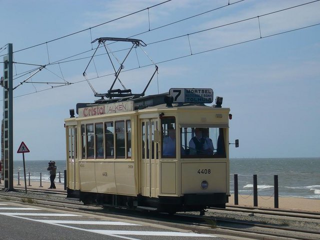 mer 11.jpg