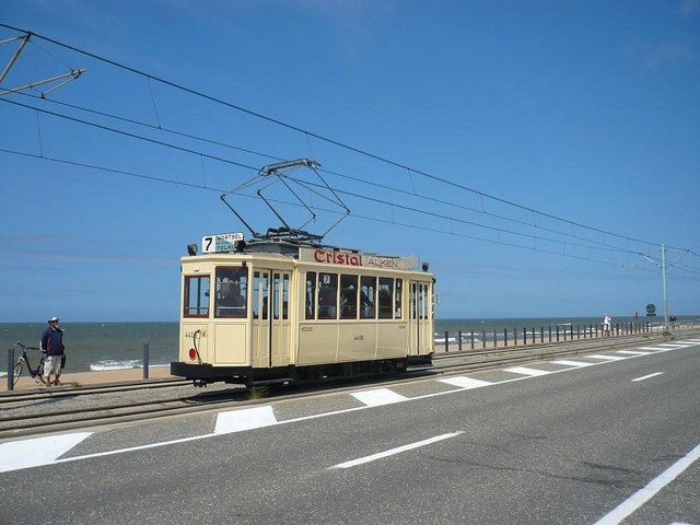 mer 12.jpg