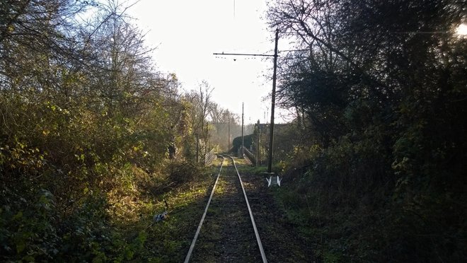 WP_20141129_004 (1280x722).jpg