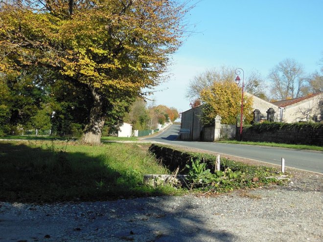 41 - copie de DSCN2613.JPG