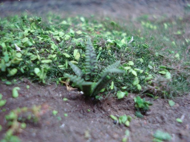 DSC06340.JPG