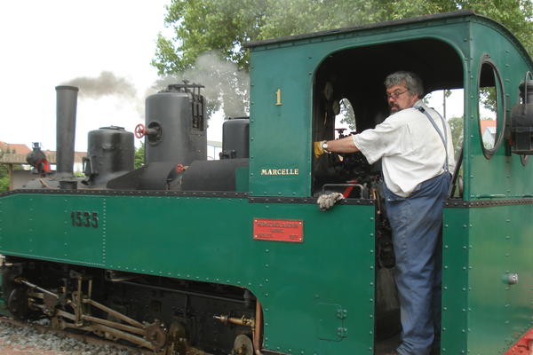 PÃ©lican fait de l'eau.jpg