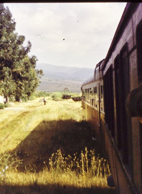 PICT0007.JPG