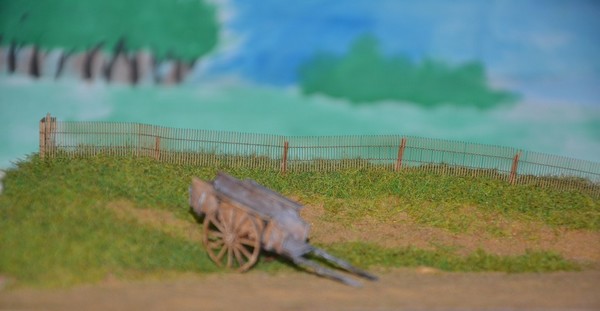 DSC_0496_3.jpg