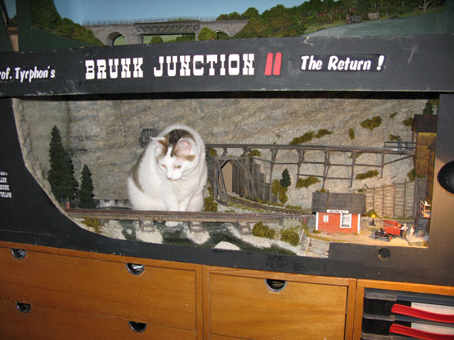 10-06-15-01-brunk.jpg