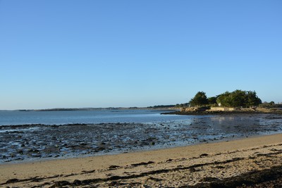 DSC_0820_2.jpg
