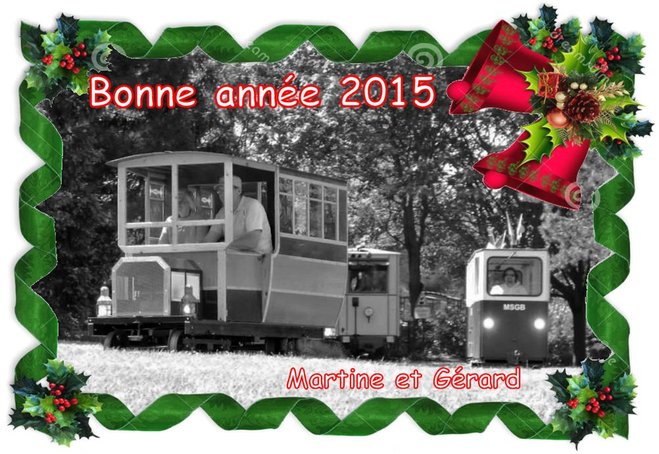 voeux 2015.jpg