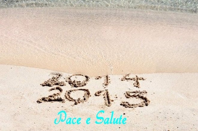 Voeux 2015.jpg