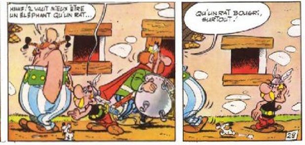 obelix.jpg