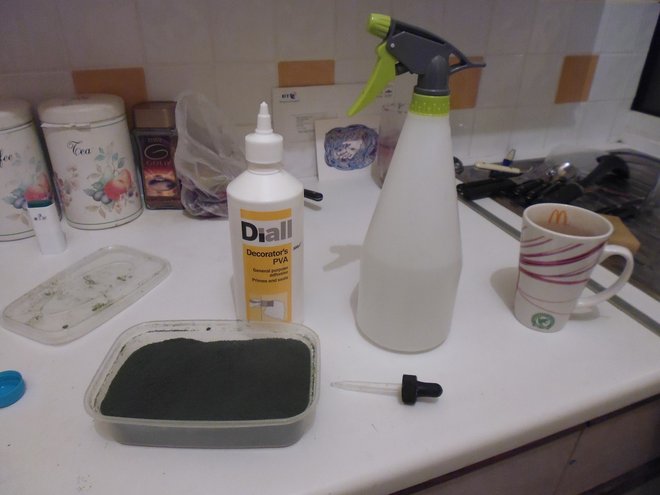 P1010238.JPG