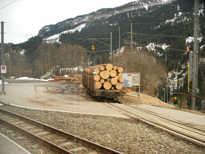 Wagons de grûmes en gare de Langwies.JPG