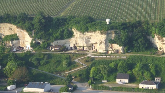 575x324_restaurant-Le_Saut_aux_Loups1.jpeg