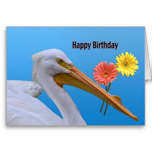 PME Anniversaire Pélican..jpg