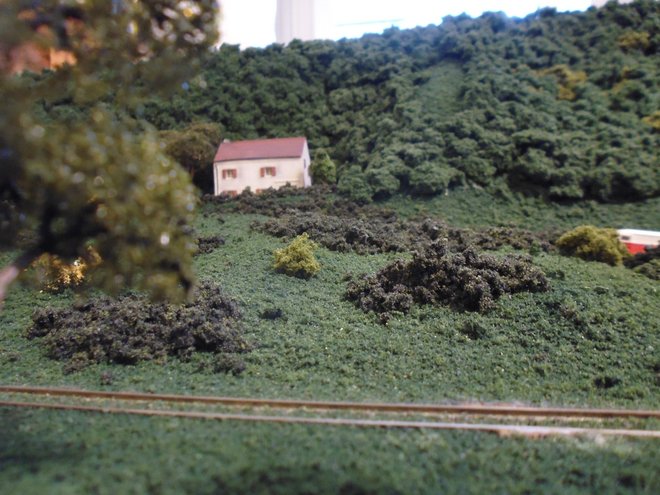 P1010249.JPG