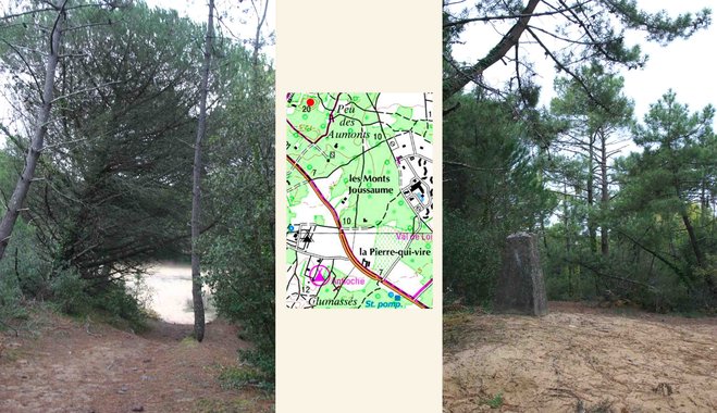 Sommets île de Ré.jpg