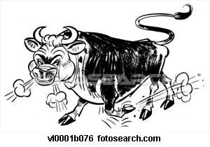 fache-taureau_~vl0001b076.jpg