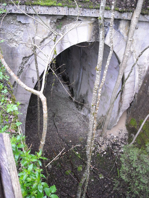 DSCN0955.JPG