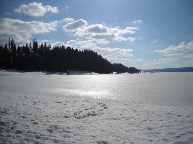 DSCN0319.JPG