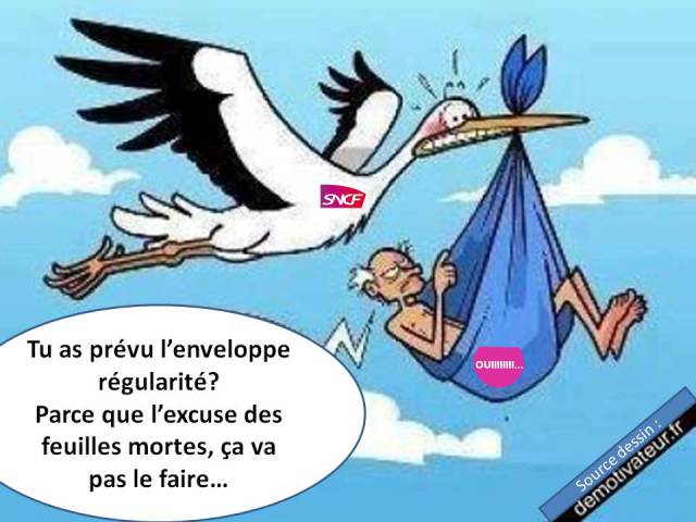 PME SNCF Cigogne..jpg