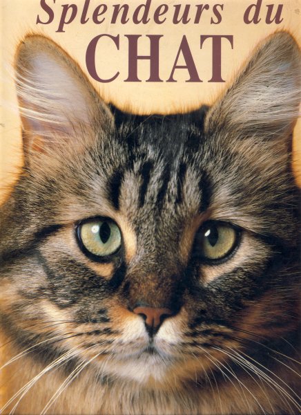 splendeur_chat_site_grand.jpg