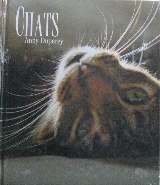 chats_duperey_site_grand.jpg