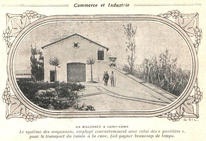 Réseau viticole 002.jpg