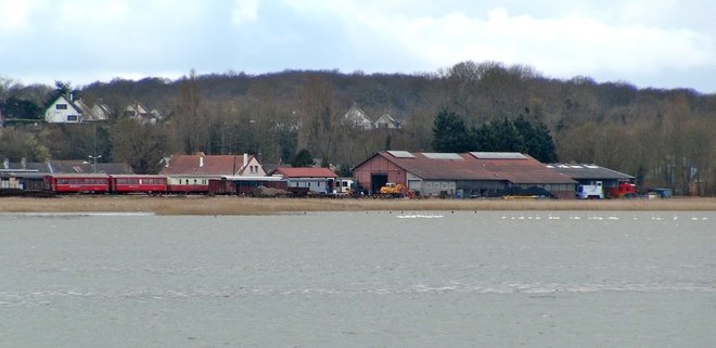 DSC01771.jpg