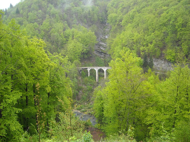 DSCN0943.JPG