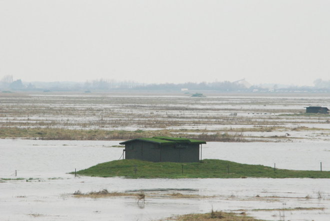 DSC_6622.jpg